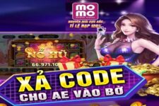 Win247 Giftcode – Truy tìm những mã code thưởng hàng triệu đồng